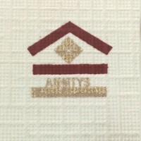 AMMTYS INDIA CONSTRUCTION PRIVATE LIMITED logo - Similar company to Ss Trade Inc