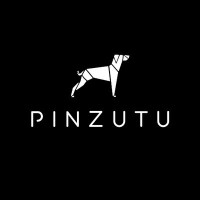 Pinzutu Films logo - Similar company to Frank Films