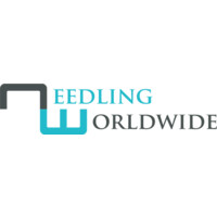 Needling Worldwide logo - Similar company to Digital Scientists