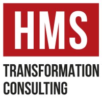HMS Audit & Transformation logo - Similar company to Hse Days