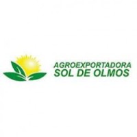 Agroexportadora Sol de Olmos SAC logo - Similar company to Exportadora El Sol Sac.