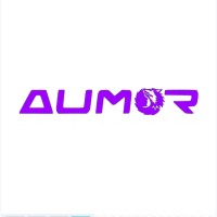 Aumor Inc logo - Similar company to Solid Hook Inc.