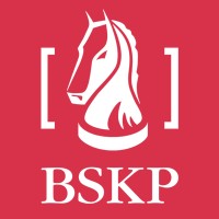 BSKP Dr. Broll · Schmitt · Kaufmann & Partner - Steuerberater · Wirtschaftsprüfer · Rechtsanwälte logo - Similar company to Fröhlich Rechtsanwälte Insolvenzverwalter Steuerberater