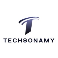 Techsonamy logo - Similar company to Manifest Executive Consultancy
