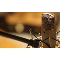 Vietnamese Dubbing Services logo - Similar company to Fissman Chile