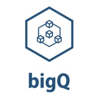 bigQ logo - Similar company to Ioio Py