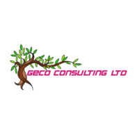Geco Consulting Limited logo - Similar company to Api Roots Consulting