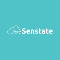 Senstate Technologies logo - Similar company to Hivi Technology Learning Academy