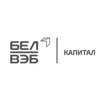 BelVEB Capital logo - Similar company to Artstore Dev