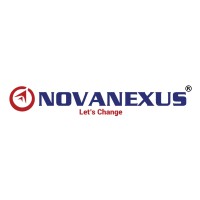Novanexus Consulting logo - Similar company to Derben Business Solutions, Inc.
