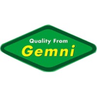 Gemni International logo - Similar company to Gemni