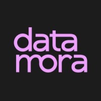Datamora logo - Similar company to Impact Operating Partners