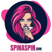 Spinaspin logo - Similar company to Thewebnext