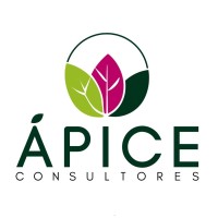 Ápice Consultores logo - Similar company to Generar Eco