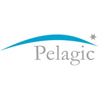 Pelagic Group logo - Similar company to All Group Wa