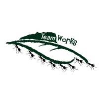 TeamWorks logo - Similar company to Bekonstructive Marketing