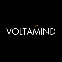 Voltamind™ logo - Similar company to Qicobay Llc