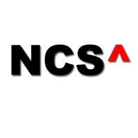 Nenosystems Consulting Services Pvt Ltd logo - Similar company to Ncs Technologies