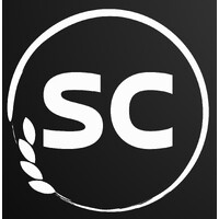 Salomon Consulting logo - Similar company to Caddes