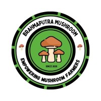 Brahmaputra Mushroom logo - Similar company to Mushroom Mountain