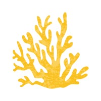 Coral Cove Islamabad logo - Similar company to Clear Cloud Accounting