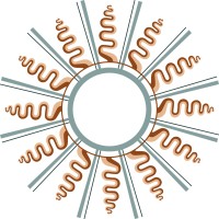 La Cervara logo - Similar company to Lb9 Brand | Paddlesport Innovation