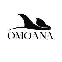 OMOANA logo - Similar company to Mountainhigh Solution Pvt Ltd