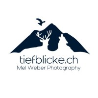 TIEFBLICKE.CH - Mel Weber Photography logo - Similar company to Temmes International