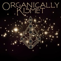 Organically Kismet logo - Similar company to Aio Media Lab.