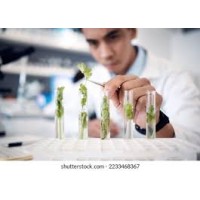 FarmForge Labs logo - Similar company to Truepulse Insights