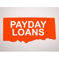 Payday logo - Similar company to Data Infosys Solution