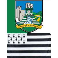 Limerick Quimper Twinning logo - Similar company to Walsh Design Group