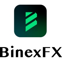 BinexFx logo - Similar company to Doubletic Digibiz Solutions