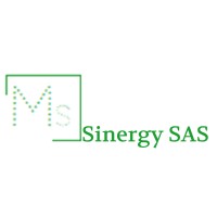 Ms Sinergy SAS logo - Similar company to Laboratory Systems Group