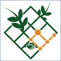 Open Trellis logo - Similar company to Ruffin Neurolab