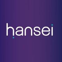 Hansei Solutions logo - Similar company to Mordor Staffing