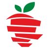 SAGETRA INC. logo - Similar company to Bernoulli System Ab