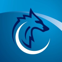 WOLFTRAKGlobal logo - Similar company to Neosynaptics