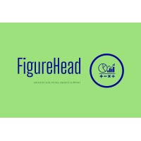 FigureHead Global Solutions LLP logo - Similar company to Pak Tech Llc