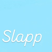 SlappAI logo - Similar company to Echomesh