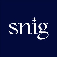 snig.digital — web & app design logo - Similar company to Bachoo Design Studio