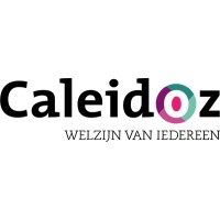 Caleidoz logo - Similar company to CCB