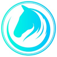 CABALLUS INDUSTRIE logo - Similar company to Chimiplex