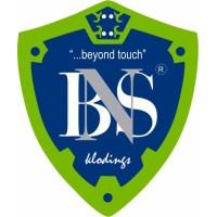 BNS Fashion | Painting & Home Decor logo - Similar company to University Of San Francisco Swig Program In Jewish Studies And Social Justice