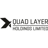 QUAD LAYER HOLDINGS LTD logo - Similar company to Risewolves Pte Ltd