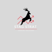 Stag Strat logo - Similar company to Merintis