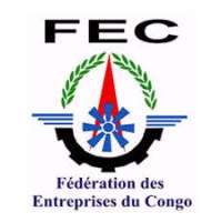 Federation des entreprises du Congo/Haut katanga logo - Similar company to Fédération Des Entreprises Du Congo