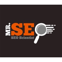 Mr. SEO logo - Similar company to Pro Web And Seo
