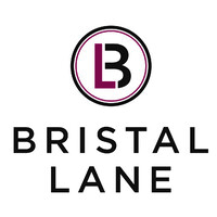 Bristal Lane Group logo - Similar company to Advintro