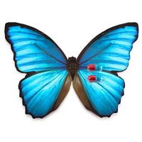 Herbal Ecstacy logo - Similar company to Feonnaa Herbal